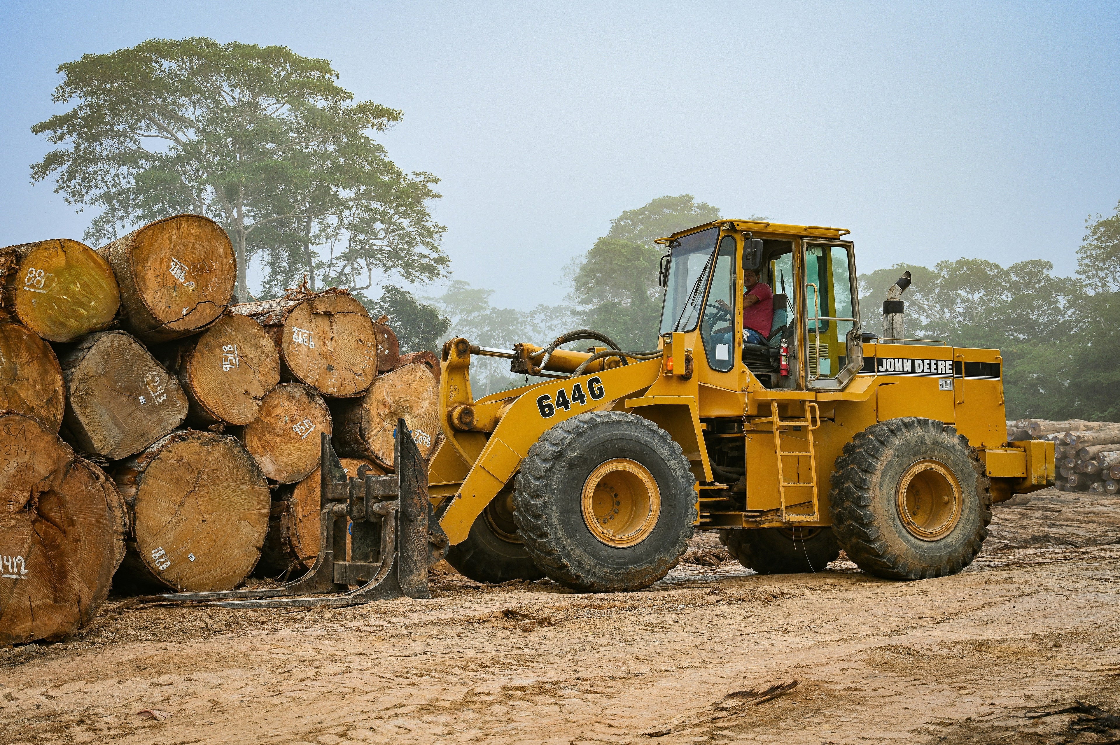 The Top African Hardwoods for Construction & Furniture