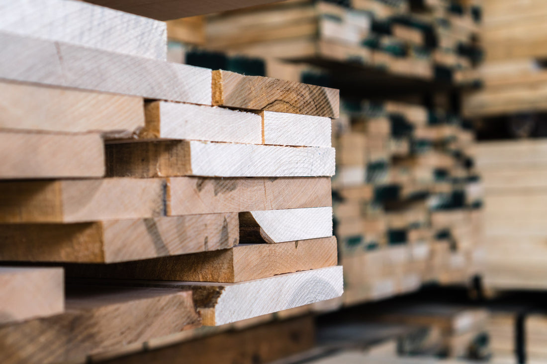 Hardwood vs Softwood — Key Differences Every Timber Trader Should Know